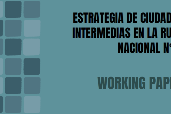 WORKING PAPER ESTRATEGIA DE CIUDADES INTERMEDIAS